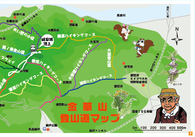 金華山登山道マップ
