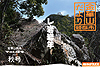 金華山だより最新号