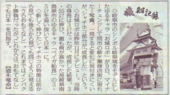 2013年11月10日 毎日新聞朝刊お城ロボゆるキャラ日本一が掲載されました。